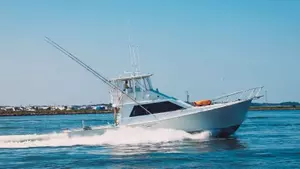 Sport fishing boats Image 2 .webp